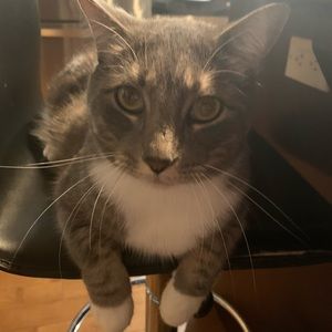 Meet your Posher, Lea